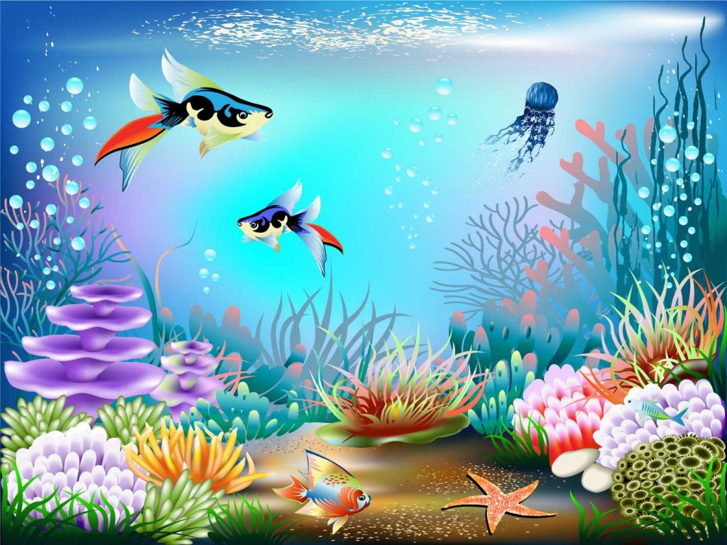 Fische im Meer