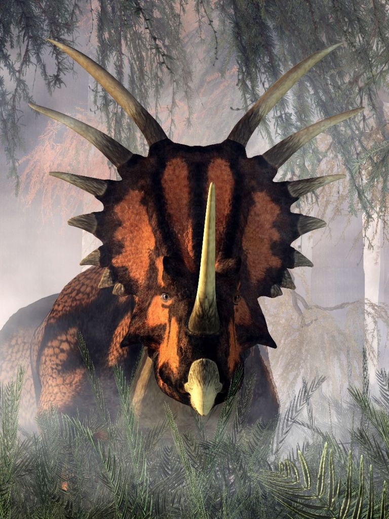 Styracosaurus