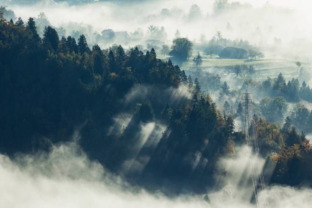 Nebelige Landschaft