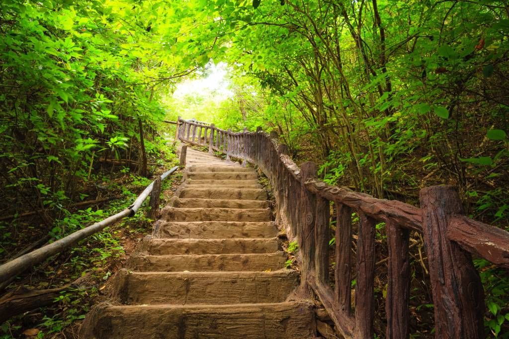 Treppen im Wald