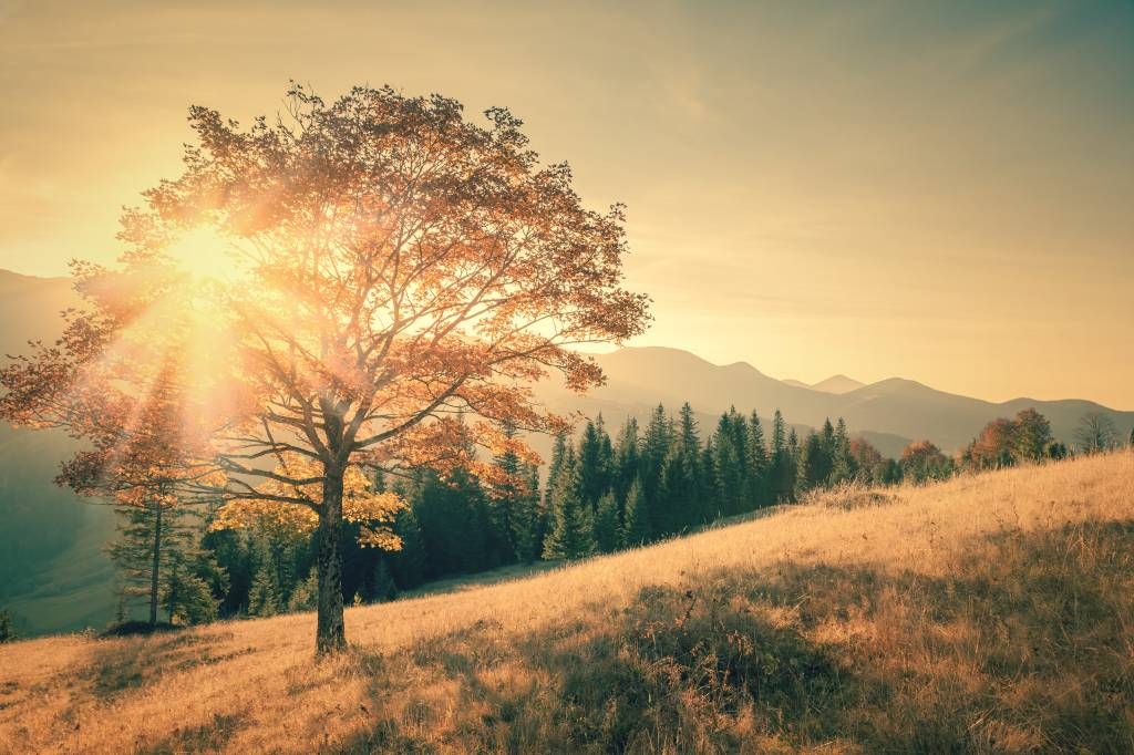 Sonnenuntergang in einem Tal