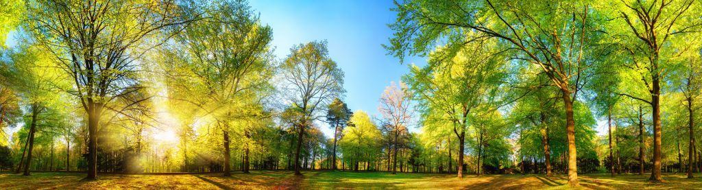 Frühlingslandschaft