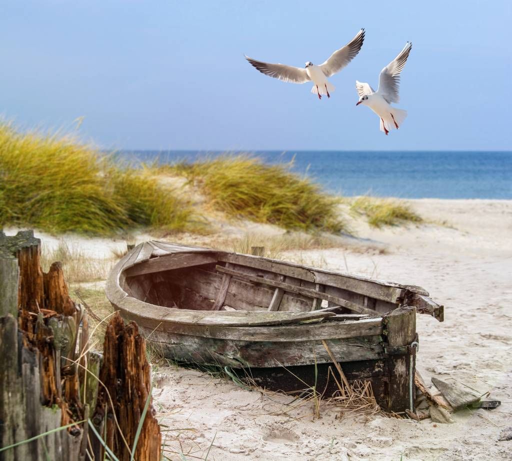 Möven, Strand und Meer