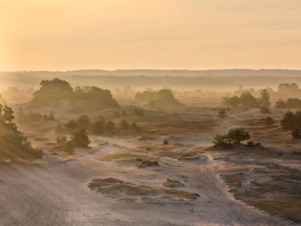 Kootwijkerzand