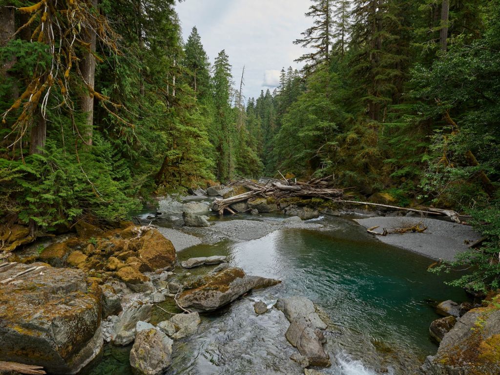 Fluss mit Staudamm