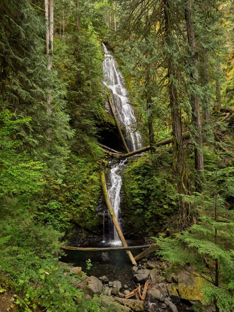 Wasserfall mit umgefallenen Bäumen