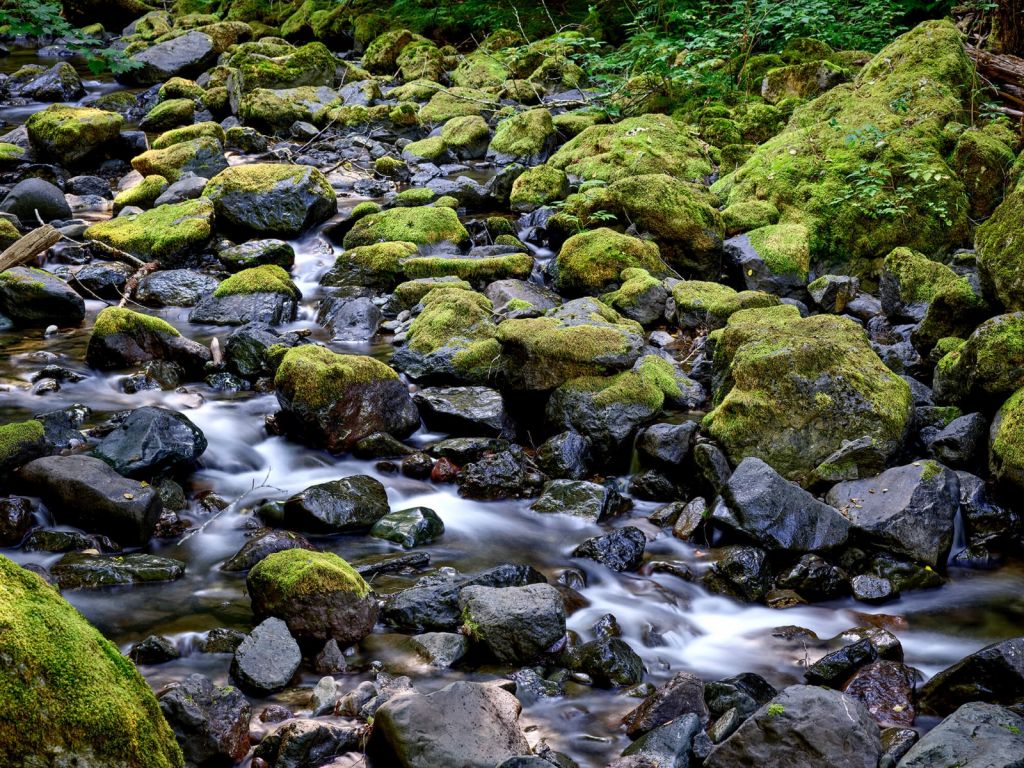 Fließendes Wasser mit Felsbrocken