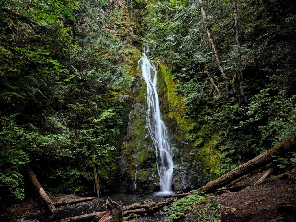 Wasserfall in einer bunten Umgebung 