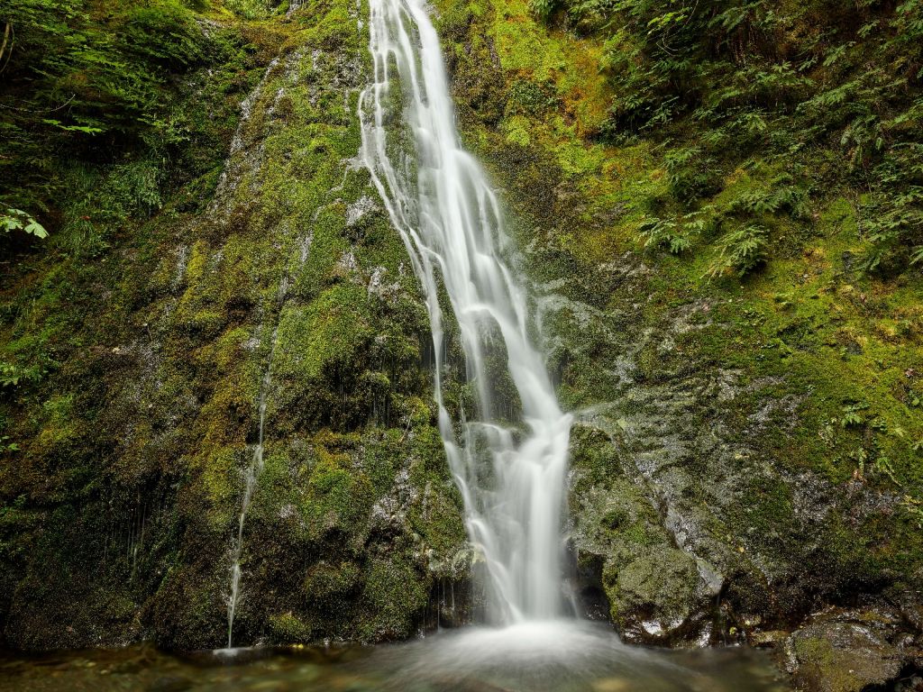 Wasserfall mit schönem Grün 