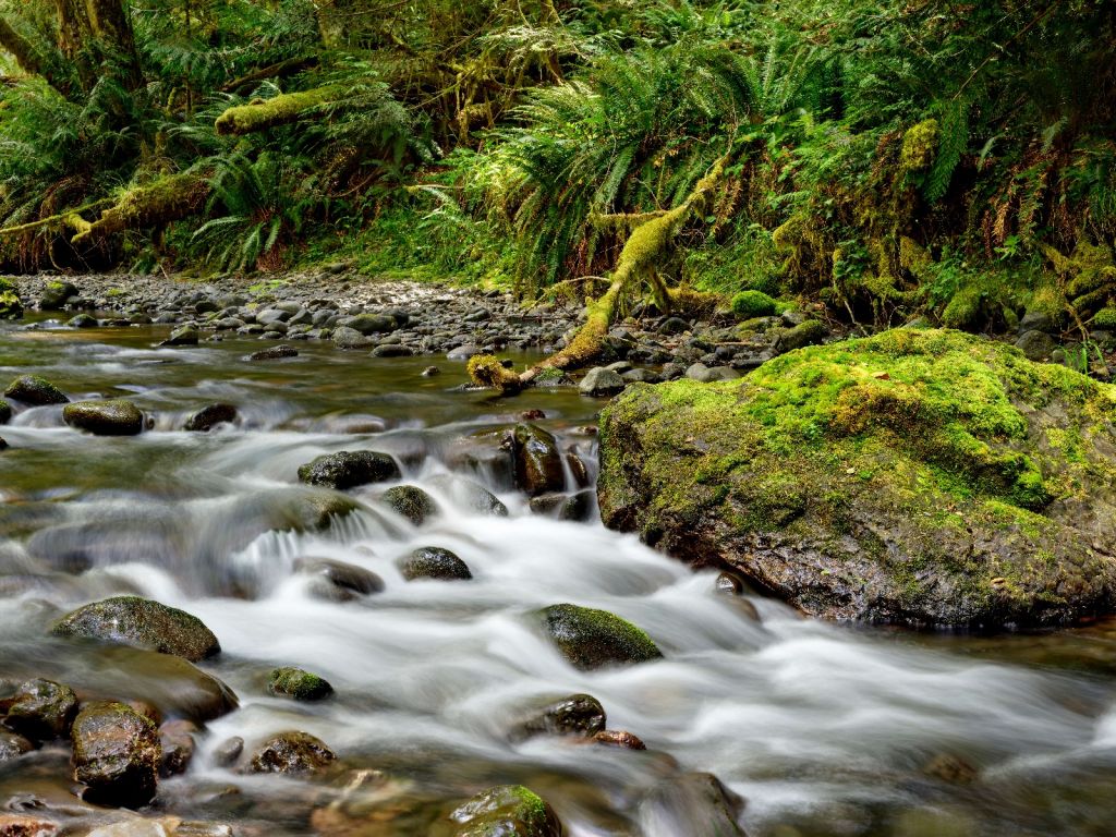 Grüner Felsen mit Fluss 