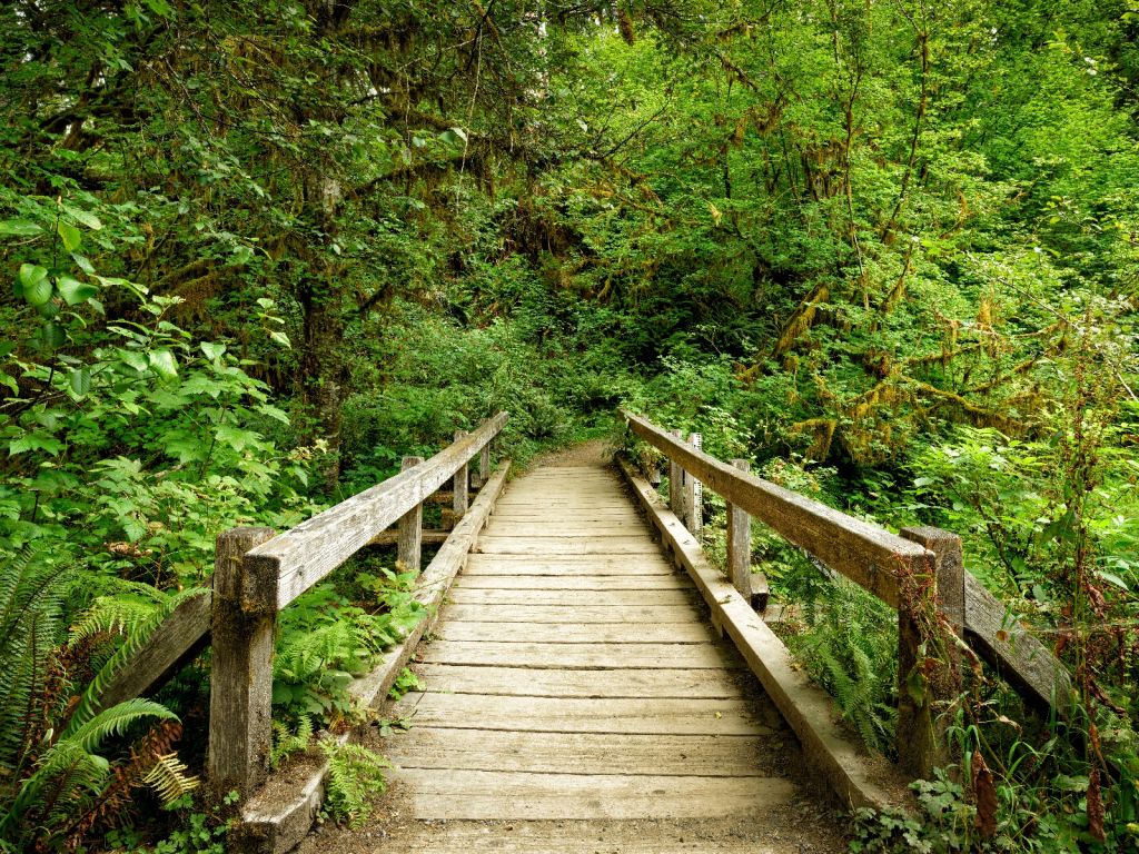 Brücke, Holz