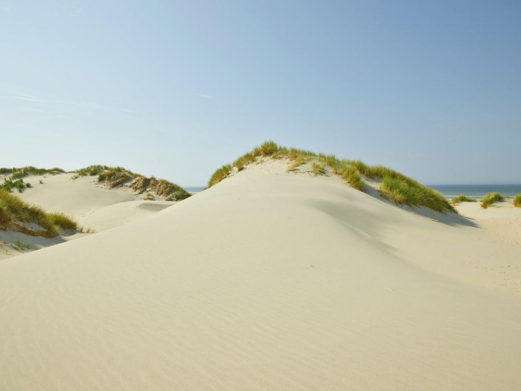 Dünen am Strand