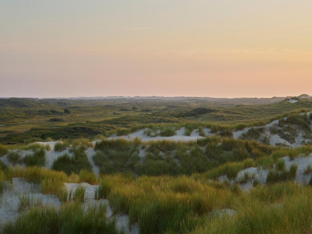 Sonnenuntergang in den Dünen