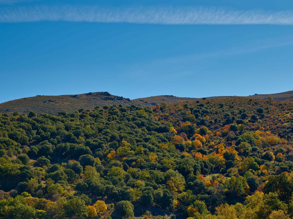 Der Herbst in den Bergen