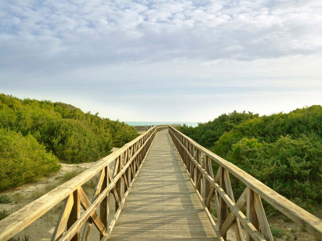 Gerüste zum Strand