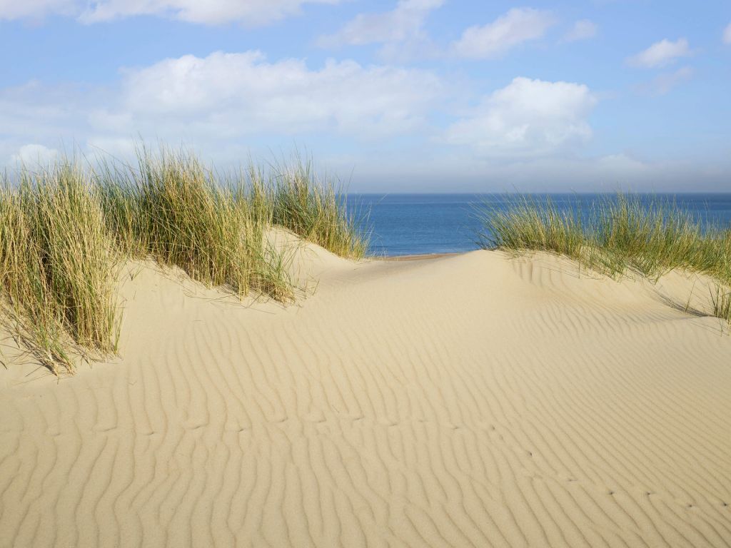 Dünendurchgang zum Strand