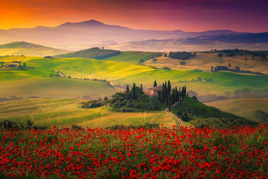 Roter Mohn mit italienischer Landschaft