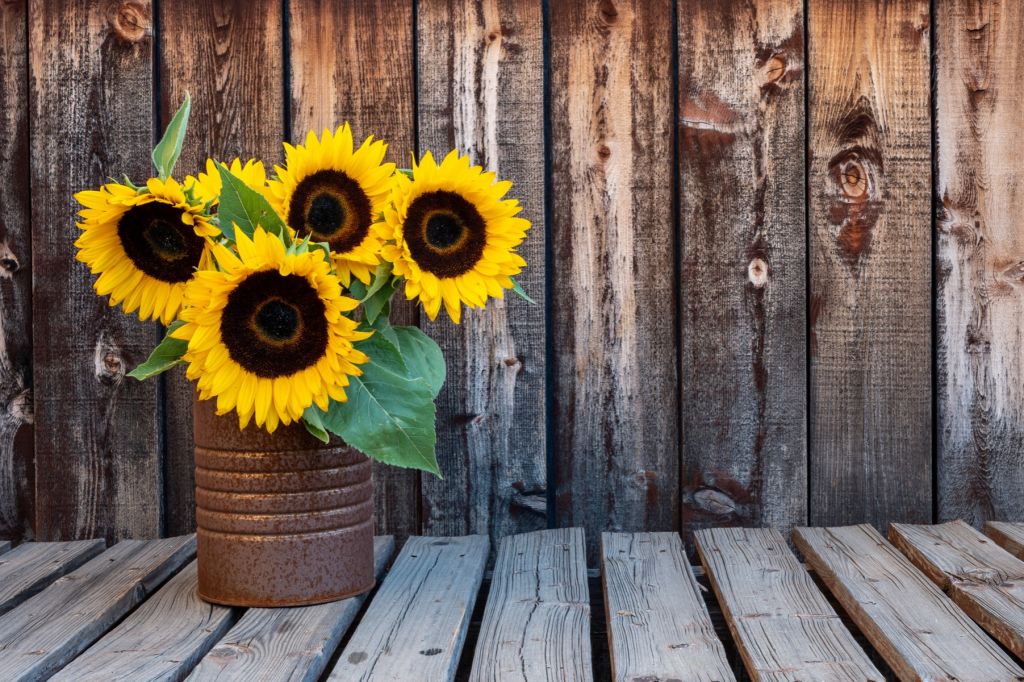 Vase mit Sonnenblumen