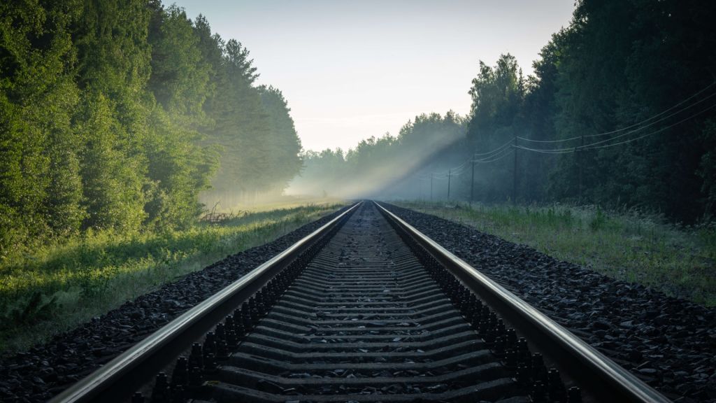 Eisenbahnschienen durch den Wald