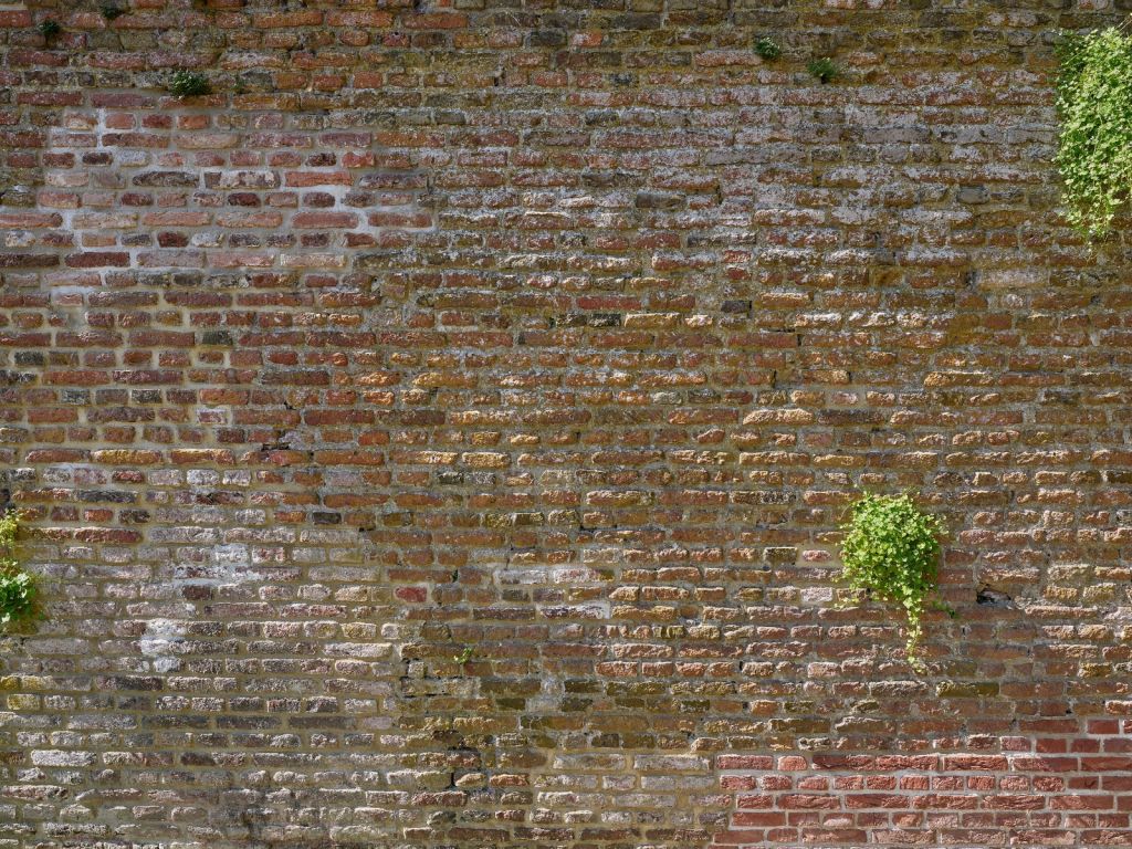 Alte steinerne Stadtmauer mit Pflanzen