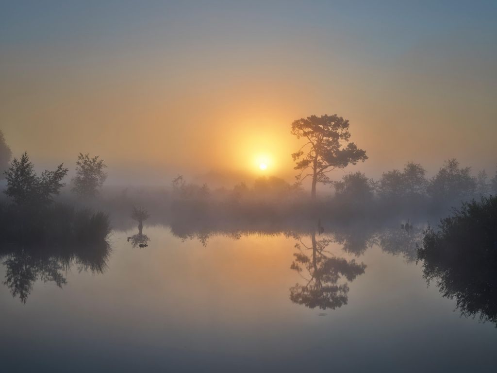 Nebliger Sonnenaufgang