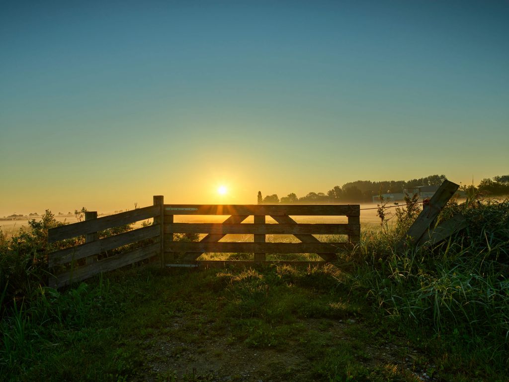 Zaun bei Sonnenaufgang