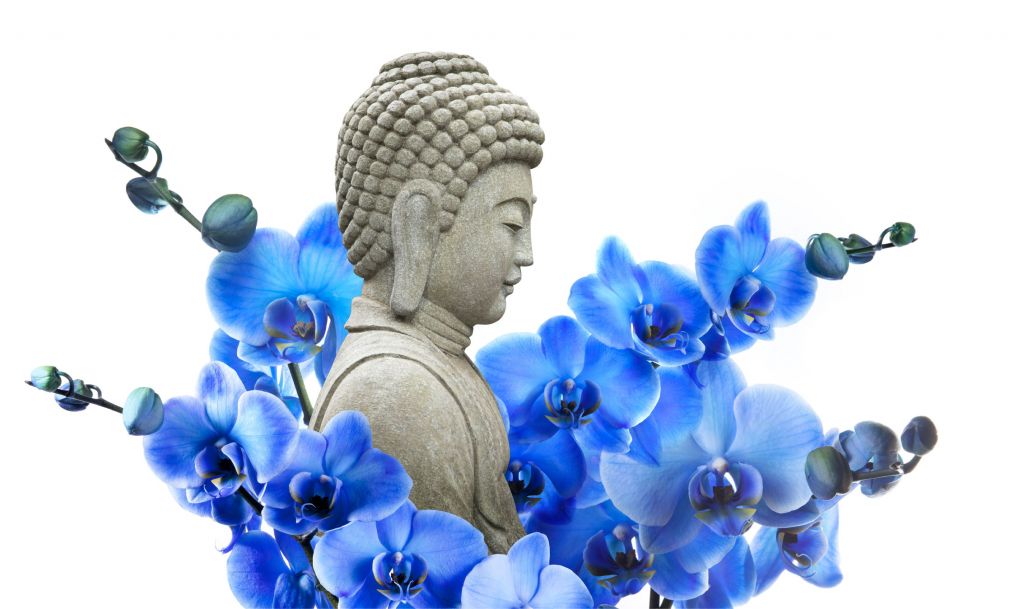 Buddha und Orchideen