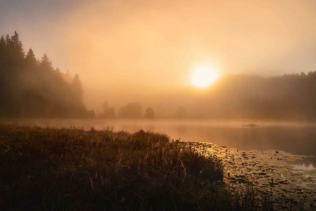 The incredible light of an October morning