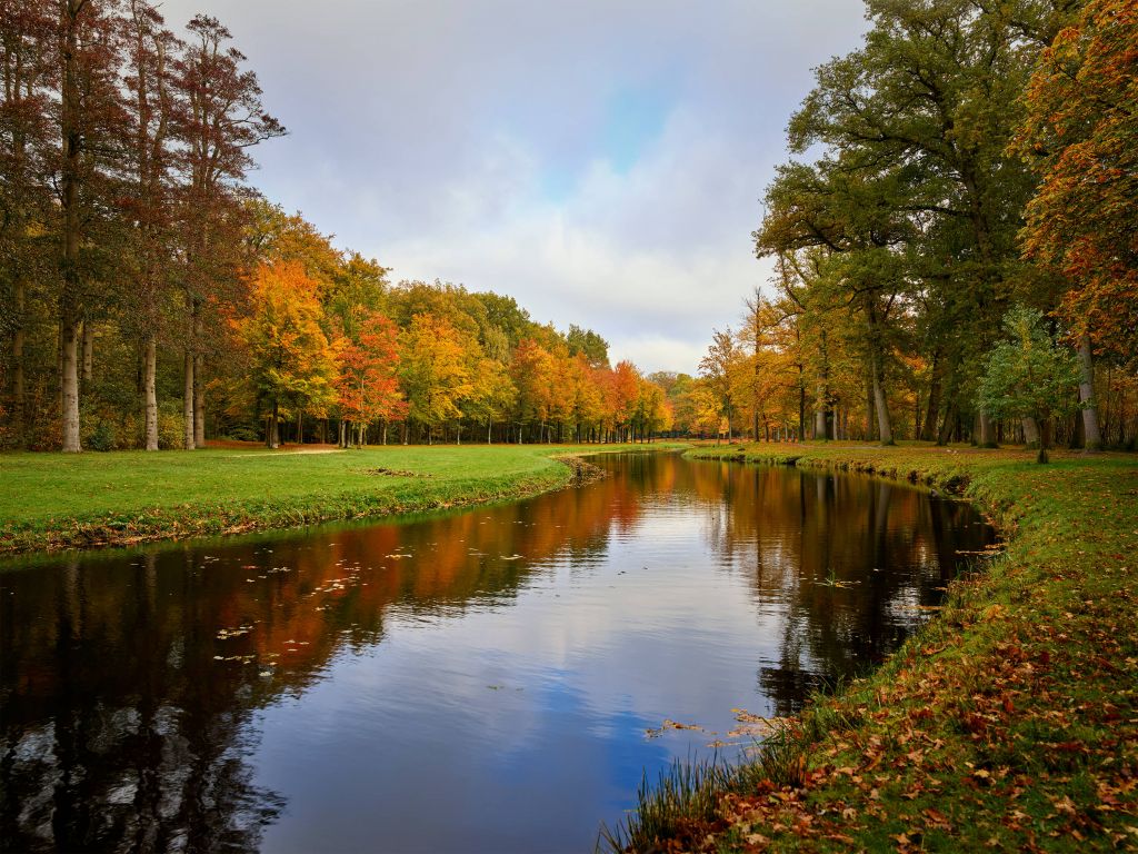 Wald im Herbst