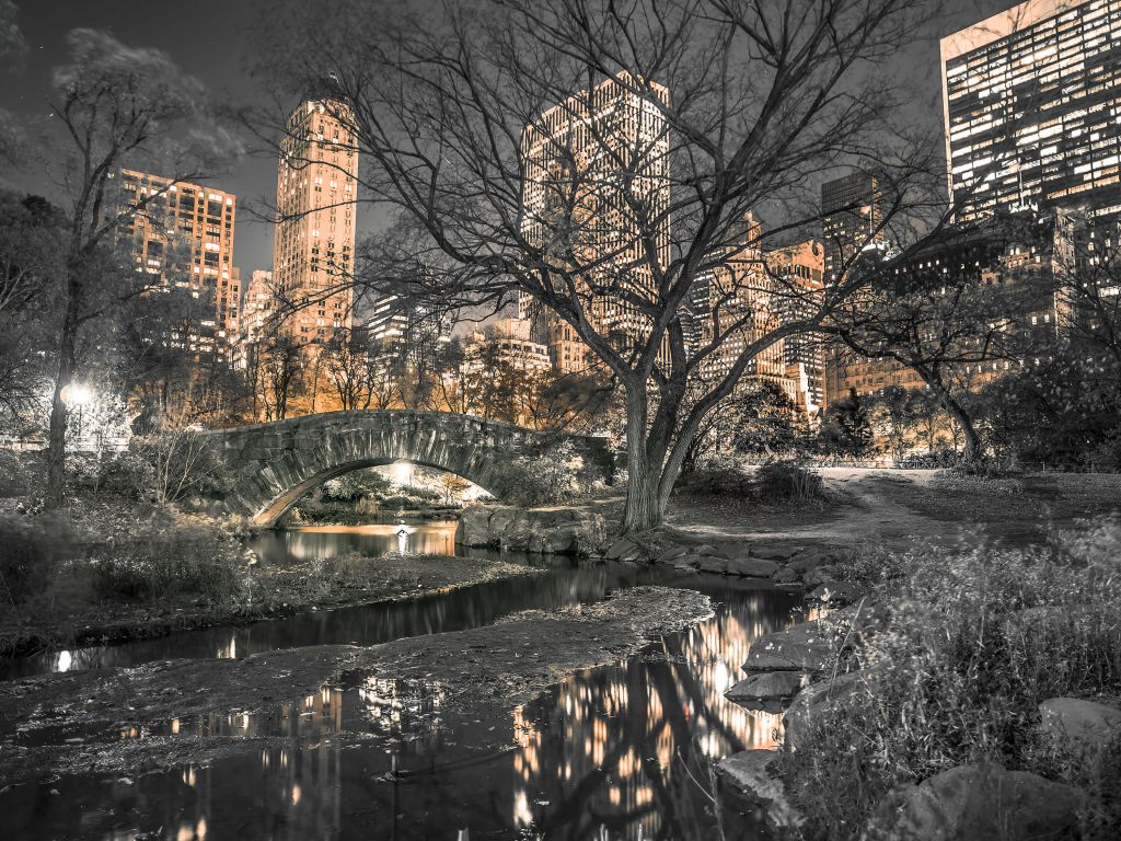 Zentraler Park am Abend