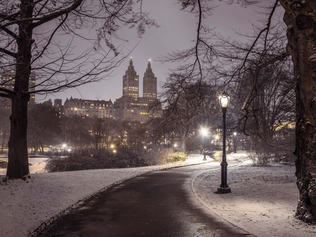 Schneebedeckter Central Park