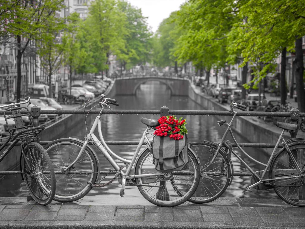 Fahrrad mit Blumen