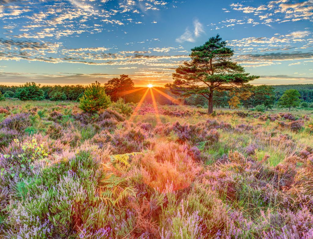 Sonnenuntergang auf dem Lande