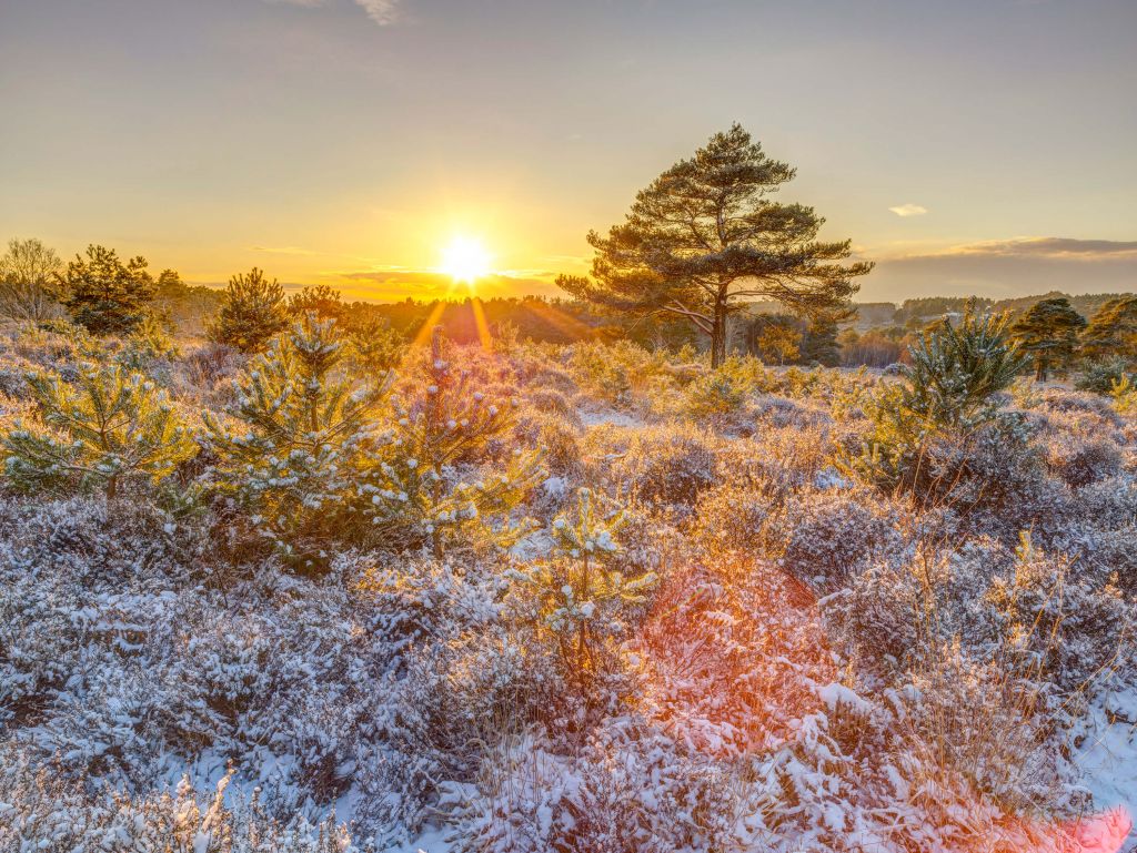 Winter Sonnenuntergang