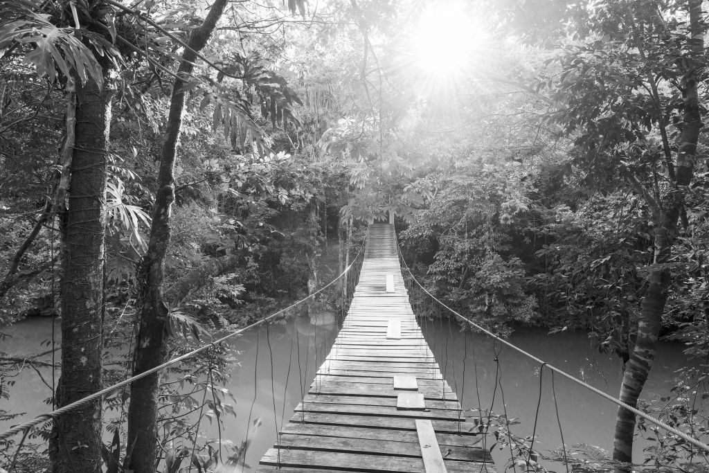 Hängebrücke schwarz und weiß