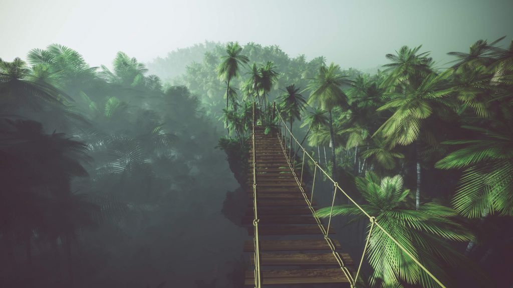 Hängebrücke im Nebel