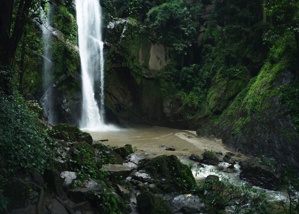 Wasserfall im tiefen Wald