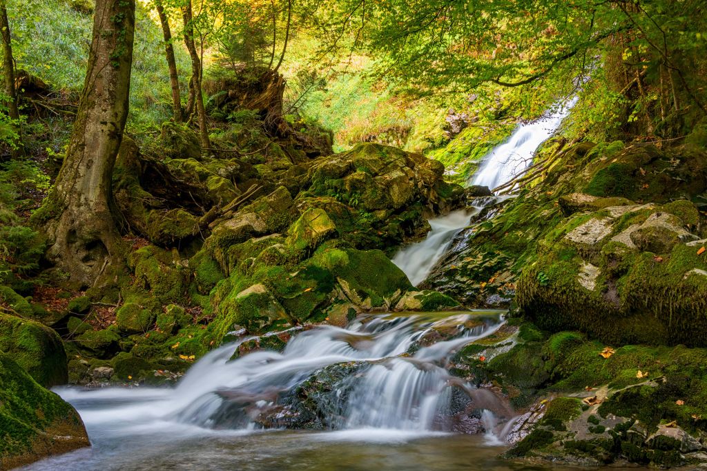 Wasserfall in der Mitte des Waldes