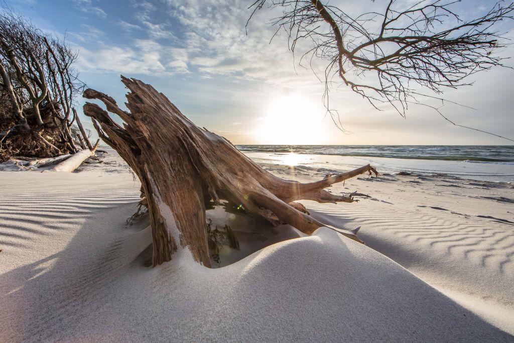 Holz im Sand