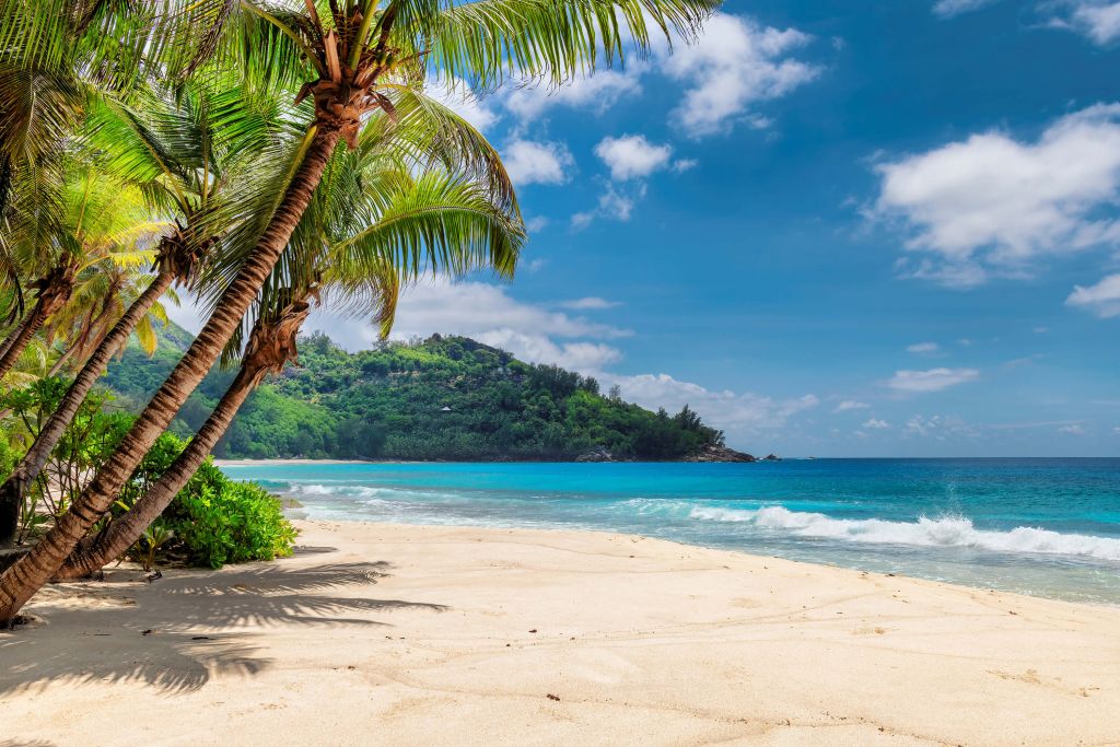 Schöner Strand mit Palmen