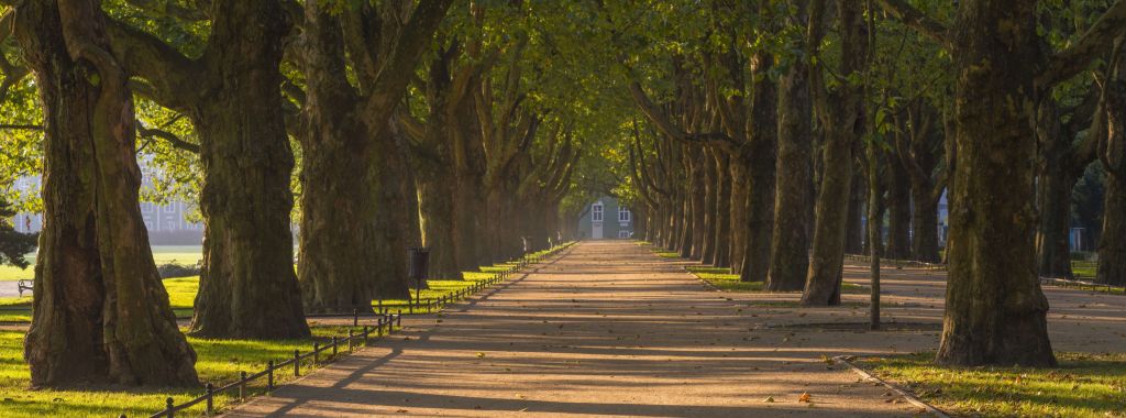 Park im Herbst