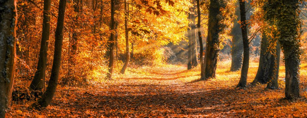 Panorama im Herbst