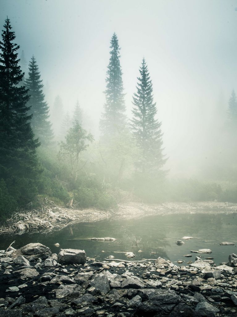 Ein schöner Bergsee