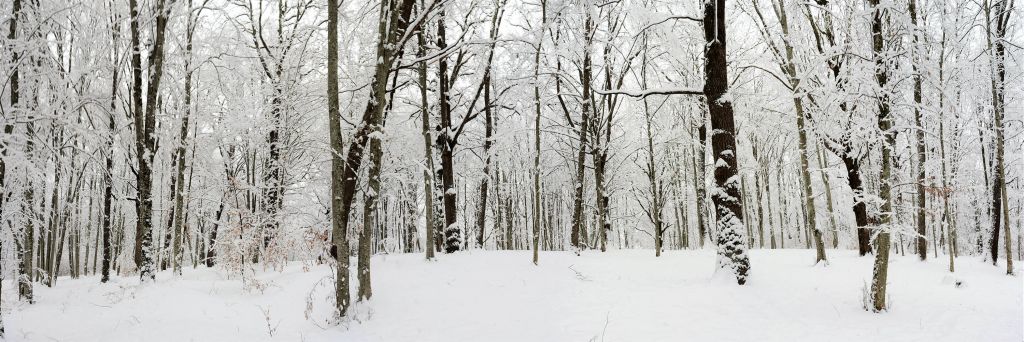 Winter-Panorama