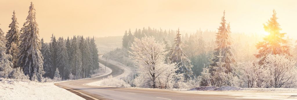 Bäume mit Schnee