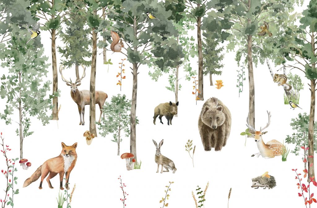 Aquarell Wald Tiere