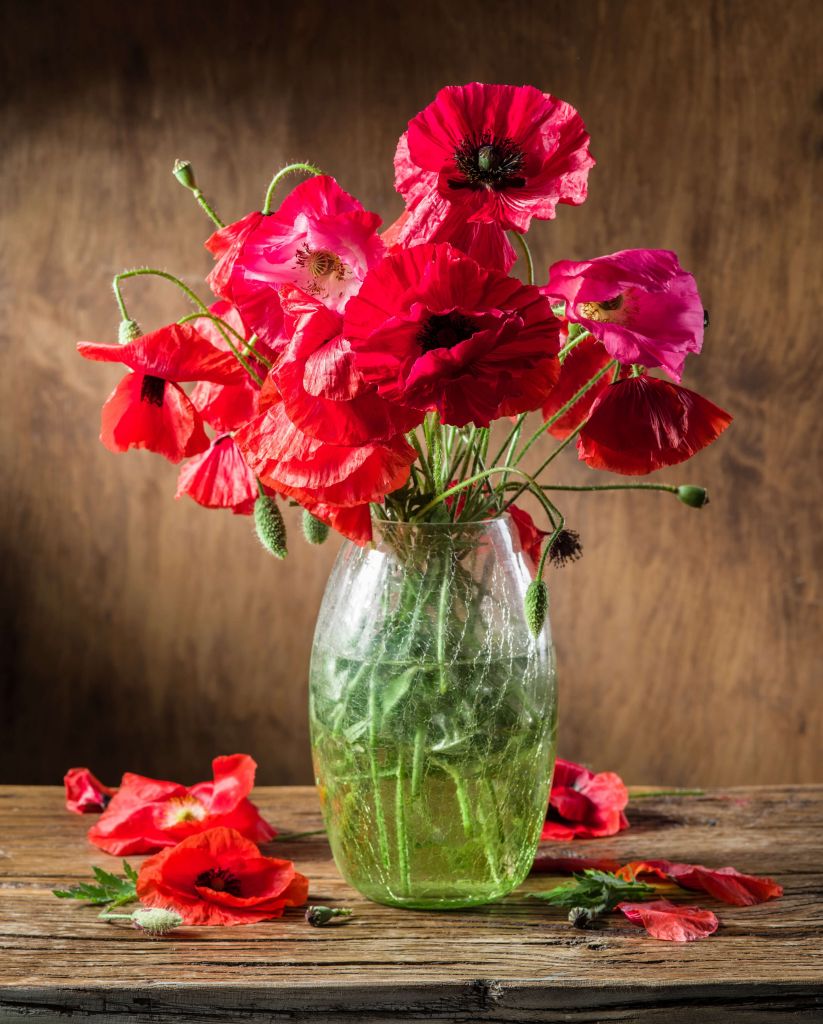 Mohnblumen in einer Vase