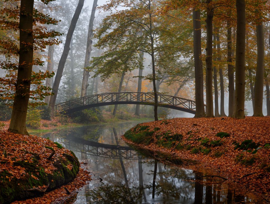 Brücke im Herbstwald