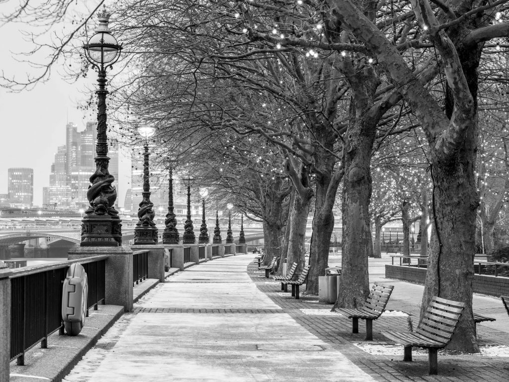 Park in London