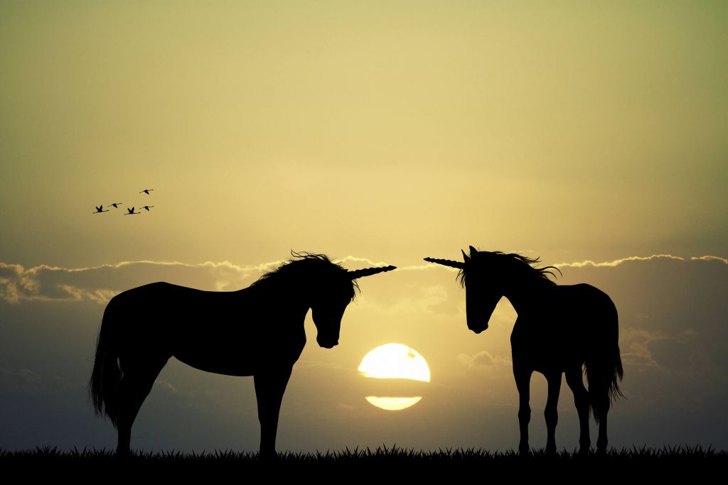 Einhörner bei Sonnenuntergang